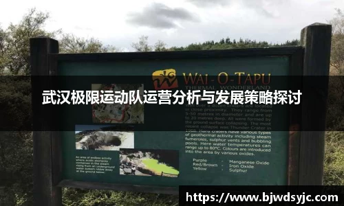 易游